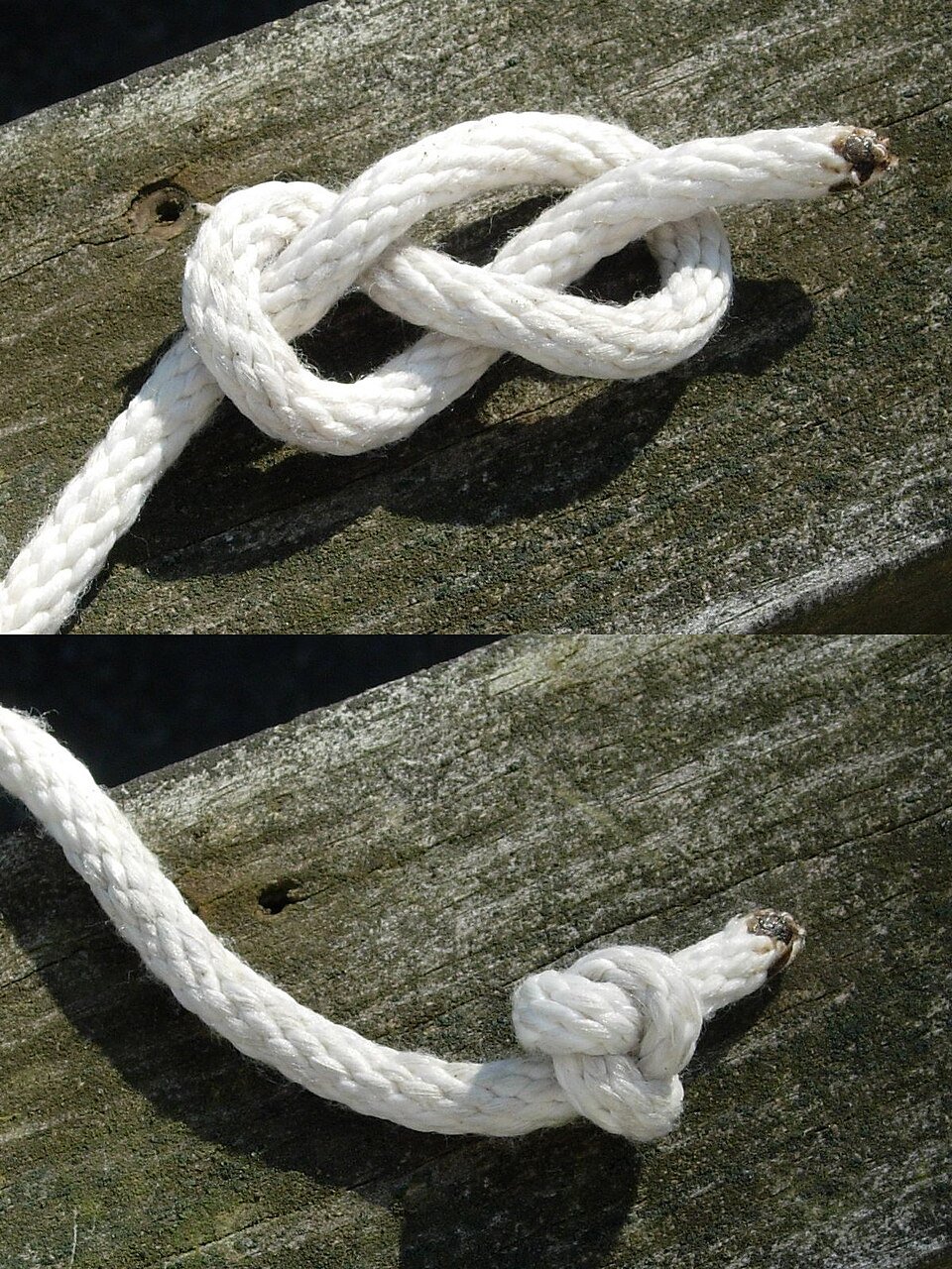 Diagram of how a figure-eight is tied